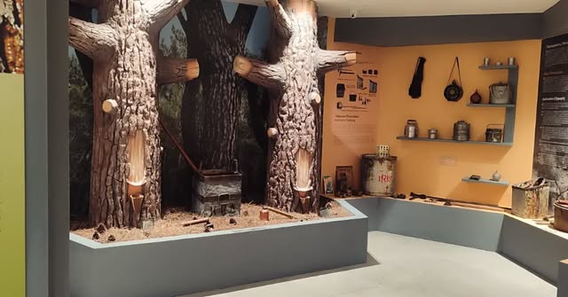 Photo by Lesvos Resin Museum on October 07, 2026.